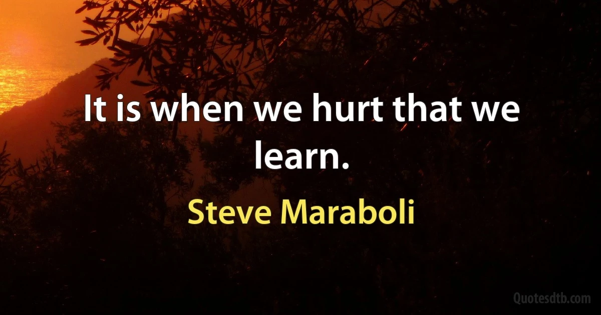 It is when we hurt that we learn. (Steve Maraboli)