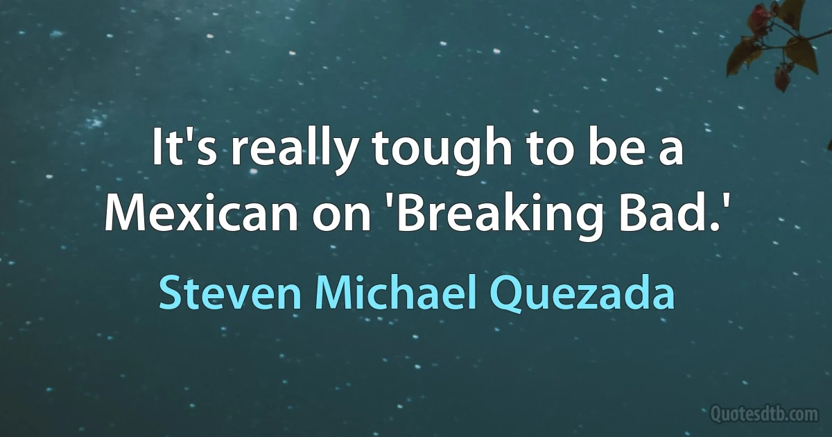 It's really tough to be a Mexican on 'Breaking Bad.' (Steven Michael Quezada)