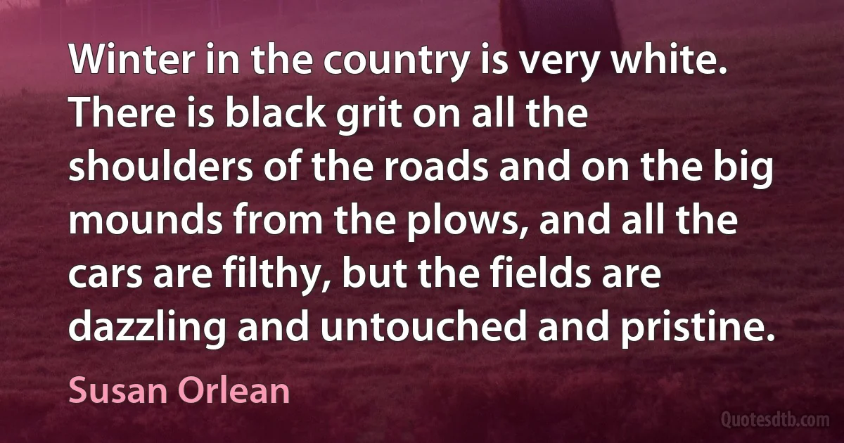 Winter in the country is very white. There is black grit on all the shoulders of the roads and on the big mounds from the plows, and all the cars are filthy, but the fields are dazzling and untouched and pristine. (Susan Orlean)