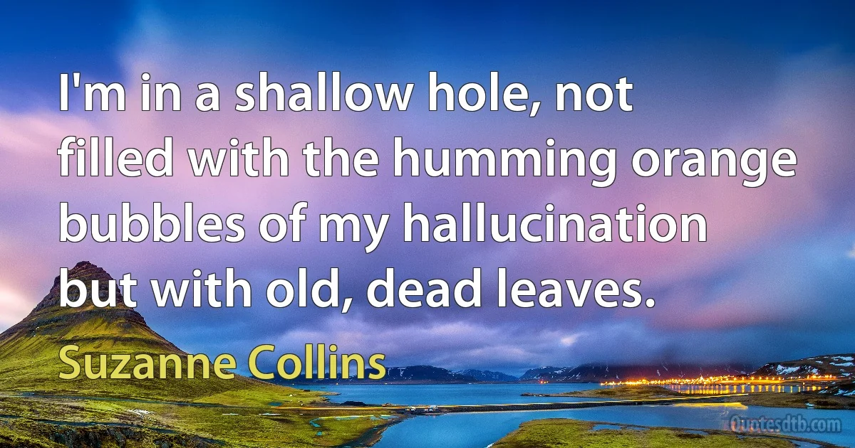 I'm in a shallow hole, not filled with the humming orange bubbles of my hallucination but with old, dead leaves. (Suzanne Collins)