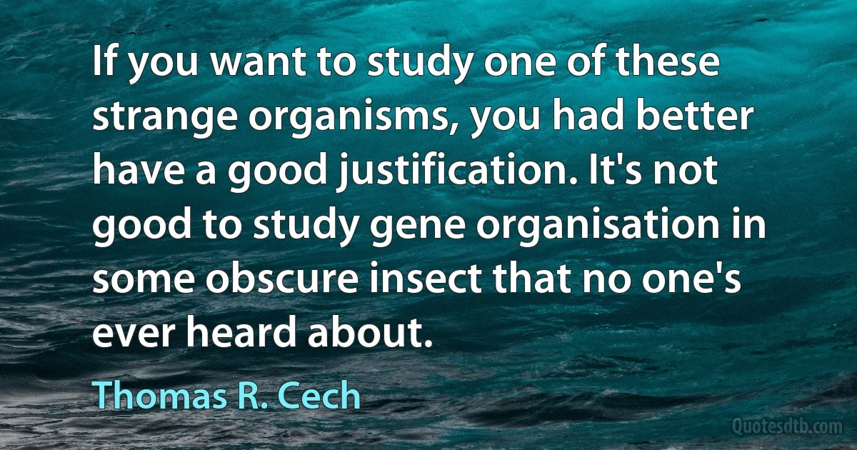 If you want to study one of these strange organisms, you had better have a good justification. It's not good to study gene organisation in some obscure insect that no one's ever heard about. (Thomas R. Cech)