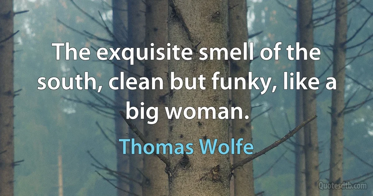 The exquisite smell of the south, clean but funky, like a big woman. (Thomas Wolfe)