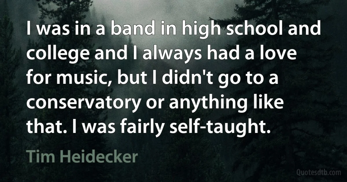 I was in a band in high school and college and I always had a love for music, but I didn't go to a conservatory or anything like that. I was fairly self-taught. (Tim Heidecker)