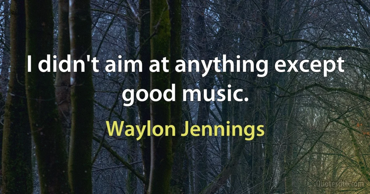 I didn't aim at anything except good music. (Waylon Jennings)