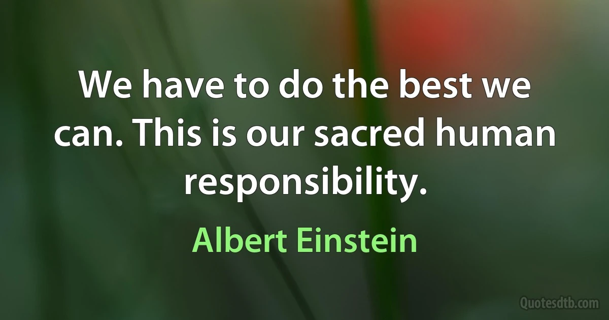 We have to do the best we can. This is our sacred human responsibility. (Albert Einstein)