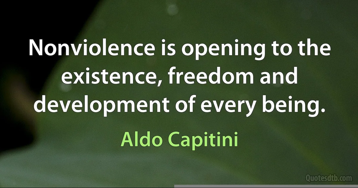 Nonviolence is opening to the existence, freedom and development of every being. (Aldo Capitini)