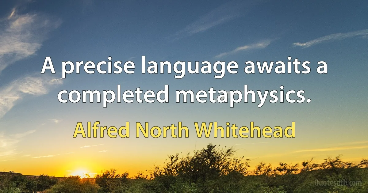 A precise language awaits a completed metaphysics. (Alfred North Whitehead)