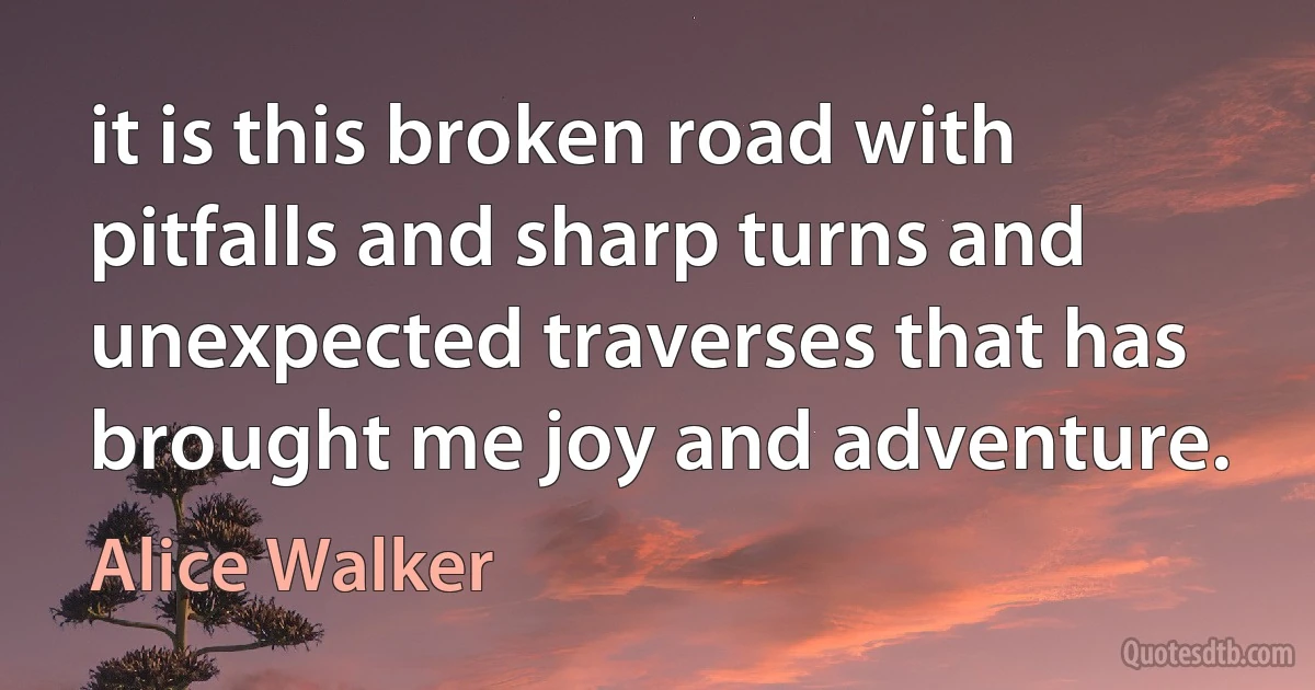 it is this broken road with pitfalls and sharp turns and unexpected traverses that has brought me joy and adventure. (Alice Walker)