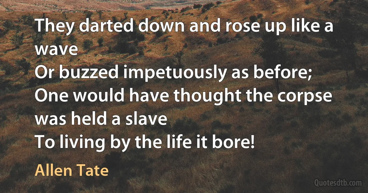 They darted down and rose up like a wave
Or buzzed impetuously as before;
One would have thought the corpse was held a slave
To living by the life it bore! (Allen Tate)