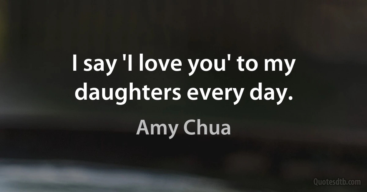 I say 'I love you' to my daughters every day. (Amy Chua)