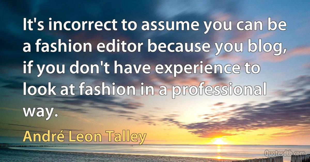 It's incorrect to assume you can be a fashion editor because you blog, if you don't have experience to look at fashion in a professional way. (André Leon Talley)