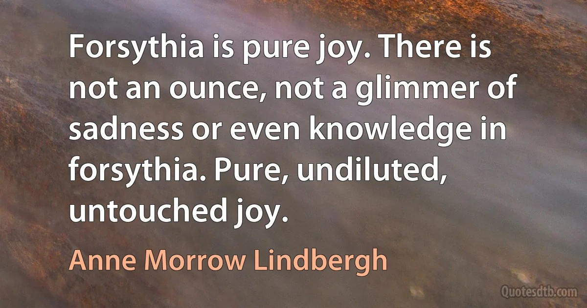 Forsythia is pure joy. There is not an ounce, not a glimmer of sadness or even knowledge in forsythia. Pure, undiluted, untouched joy. (Anne Morrow Lindbergh)