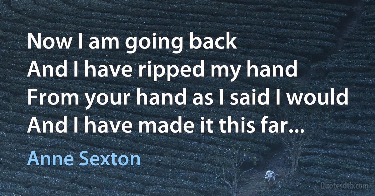 Now I am going back
And I have ripped my hand
From your hand as I said I would
And I have made it this far... (Anne Sexton)