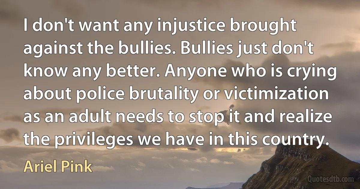 I don't want any injustice brought against the bullies. Bullies just don't know any better. Anyone who is crying about police brutality or victimization as an adult needs to stop it and realize the privileges we have in this country. (Ariel Pink)