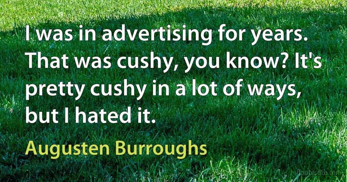 I was in advertising for years. That was cushy, you know? It's pretty cushy in a lot of ways, but I hated it. (Augusten Burroughs)