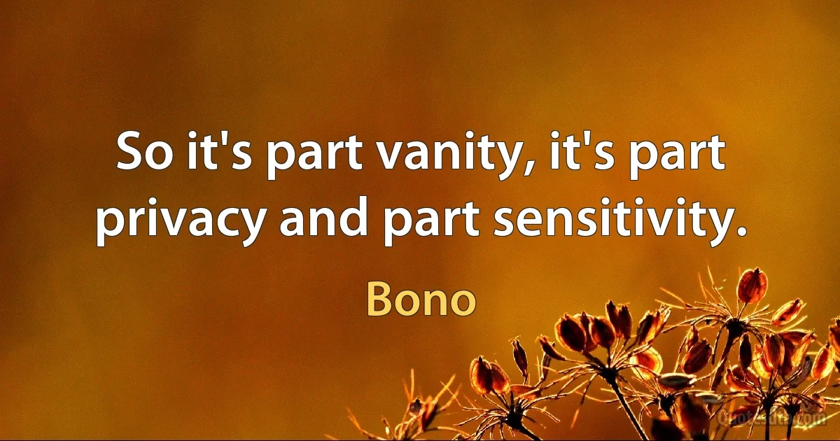 So it's part vanity, it's part privacy and part sensitivity. (Bono)