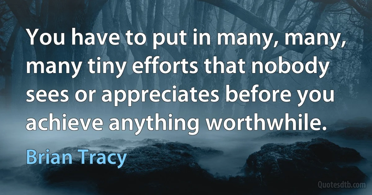 You have to put in many, many, many tiny efforts that nobody sees or appreciates before you achieve anything worthwhile. (Brian Tracy)