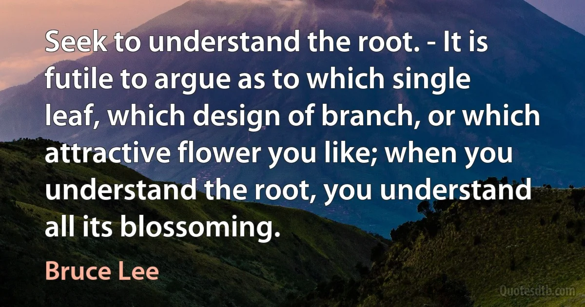 Seek to understand the root. - It is futile to argue as to which single leaf, which design of branch, or which attractive flower you like; when you understand the root, you understand all its blossoming. (Bruce Lee)