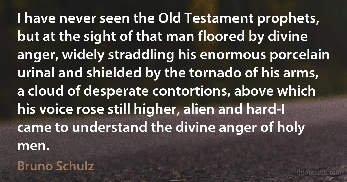 I have never seen the Old Testament prophets, but at the sight of that man floored by divine anger, widely straddling his enormous porcelain urinal and shielded by the tornado of his arms, a cloud of desperate contortions, above which his voice rose still higher, alien and hard-I came to understand the divine anger of holy men. (Bruno Schulz)