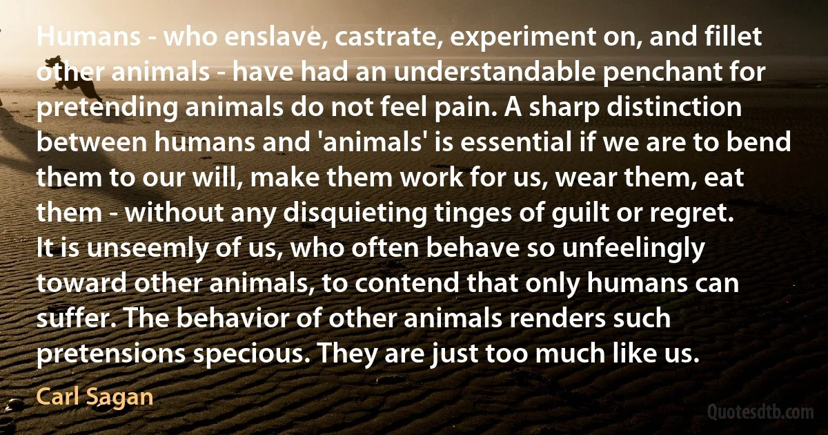 Humans - who enslave, castrate, experiment on, and fillet other animals - have had an understandable penchant for pretending animals do not feel pain. A sharp distinction between humans and 'animals' is essential if we are to bend them to our will, make them work for us, wear them, eat them - without any disquieting tinges of guilt or regret. It is unseemly of us, who often behave so unfeelingly toward other animals, to contend that only humans can suffer. The behavior of other animals renders such pretensions specious. They are just too much like us. (Carl Sagan)