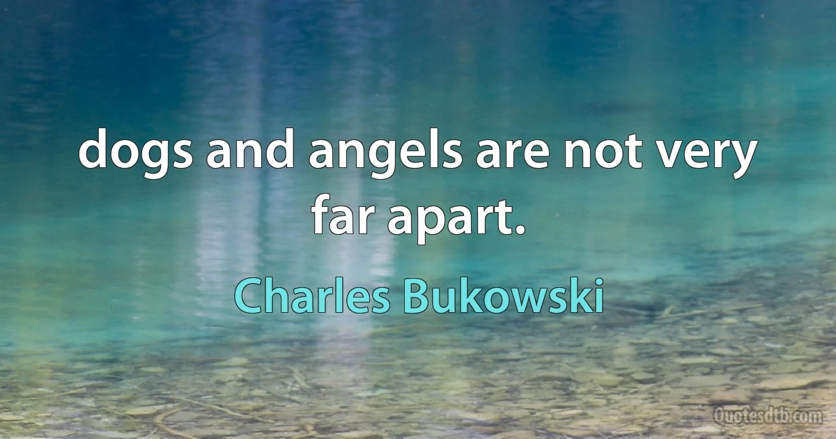 dogs and angels are not very far apart. (Charles Bukowski)