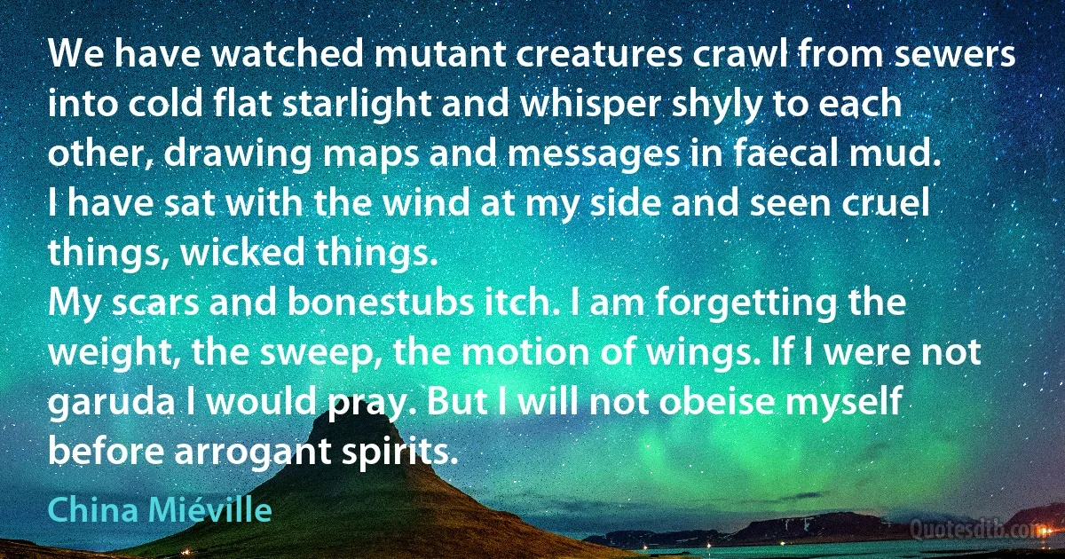 We have watched mutant creatures crawl from sewers into cold flat starlight and whisper shyly to each other, drawing maps and messages in faecal mud.
I have sat with the wind at my side and seen cruel things, wicked things.
My scars and bonestubs itch. I am forgetting the weight, the sweep, the motion of wings. If I were not garuda I would pray. But I will not obeise myself before arrogant spirits. (China Miéville)