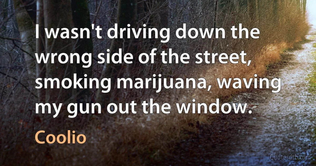 I wasn't driving down the wrong side of the street, smoking marijuana, waving my gun out the window. (Coolio)