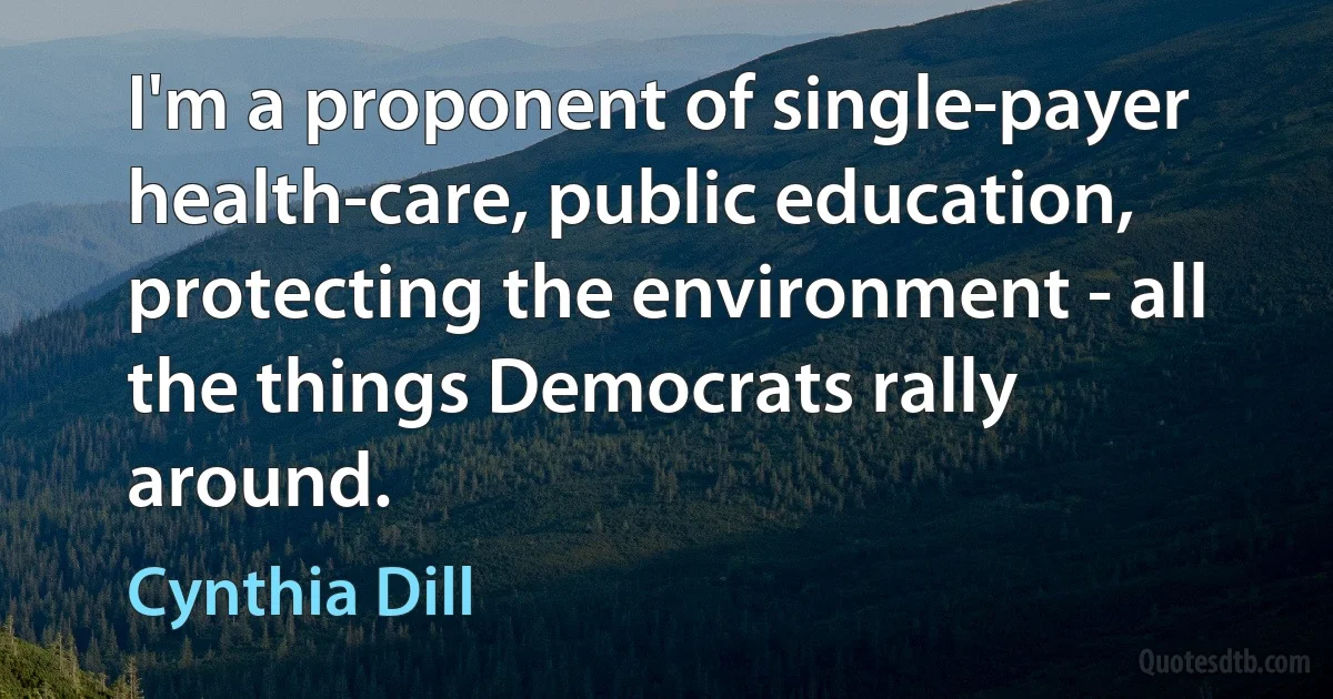 I'm a proponent of single-payer health-care, public education, protecting the environment - all the things Democrats rally around. (Cynthia Dill)