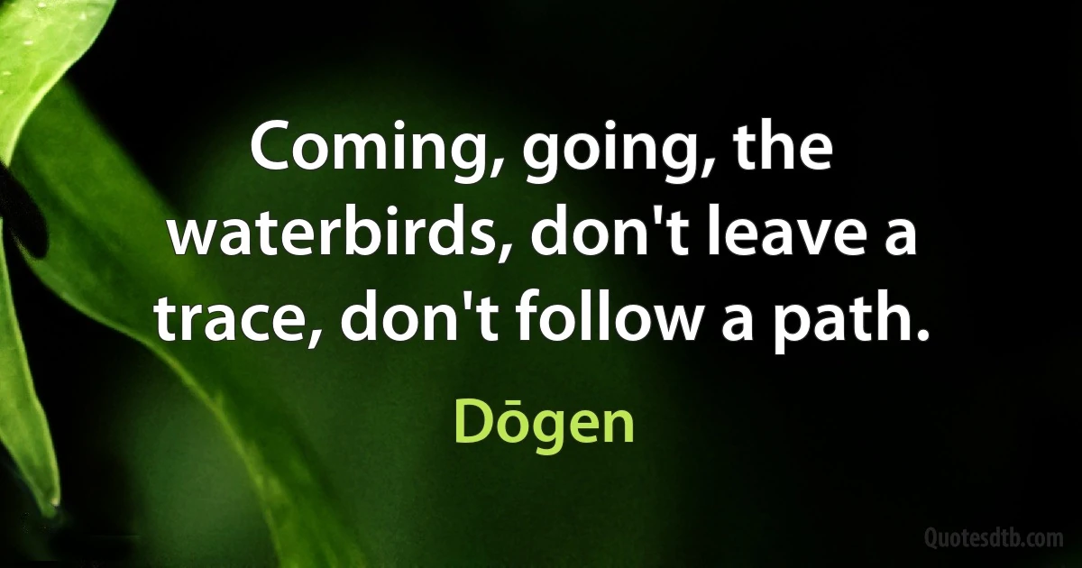 Coming, going, the waterbirds, don't leave a trace, don't follow a path. (Dōgen)