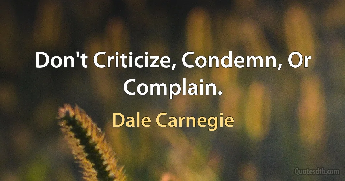 Don't Criticize, Condemn, Or Complain. (Dale Carnegie)