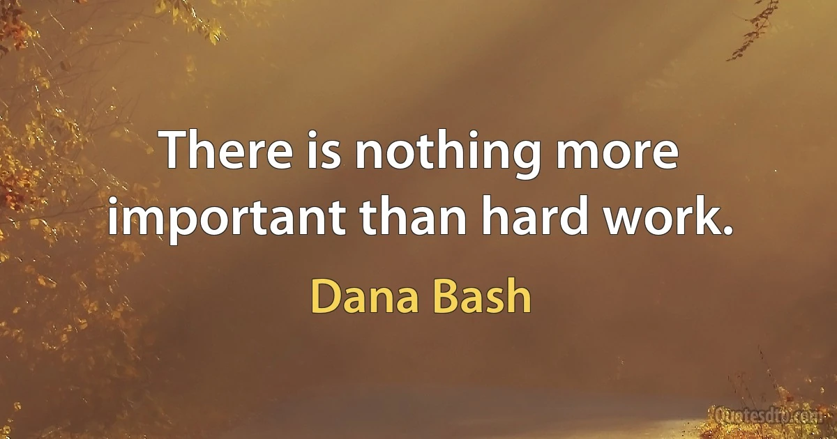 There is nothing more important than hard work. (Dana Bash)