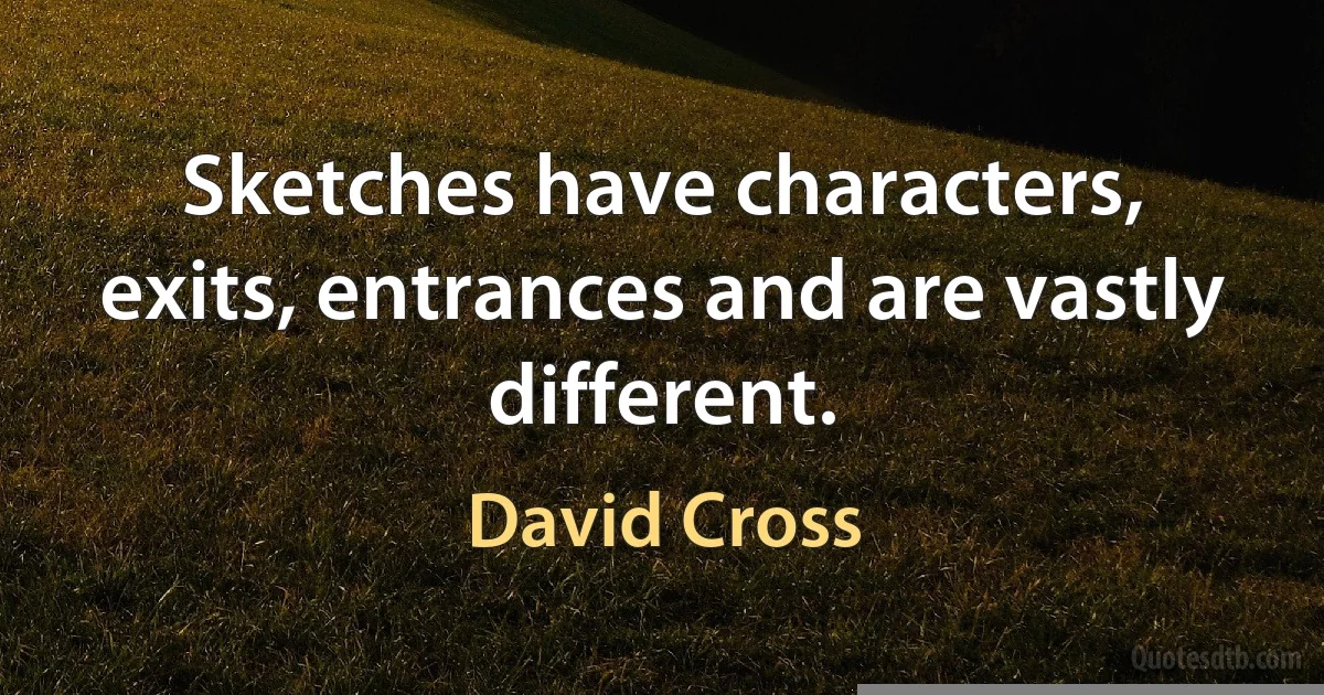 Sketches have characters, exits, entrances and are vastly different. (David Cross)