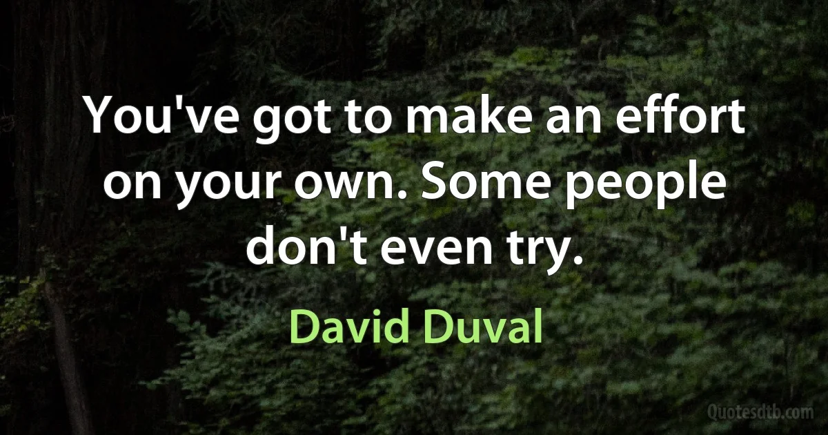 You've got to make an effort on your own. Some people don't even try. (David Duval)