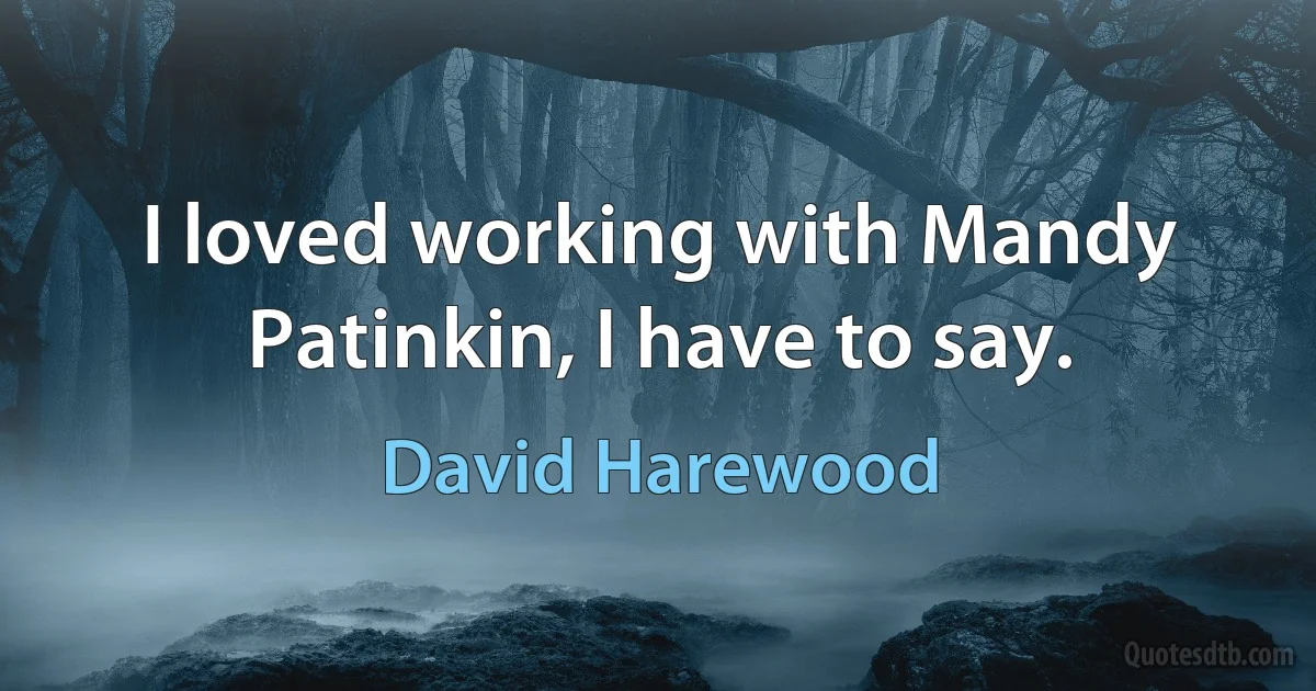 I loved working with Mandy Patinkin, I have to say. (David Harewood)