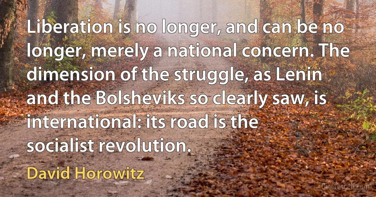 Liberation is no longer, and can be no longer, merely a national concern. The dimension of the struggle, as Lenin and the Bolsheviks so clearly saw, is international: its road is the socialist revolution. (David Horowitz)