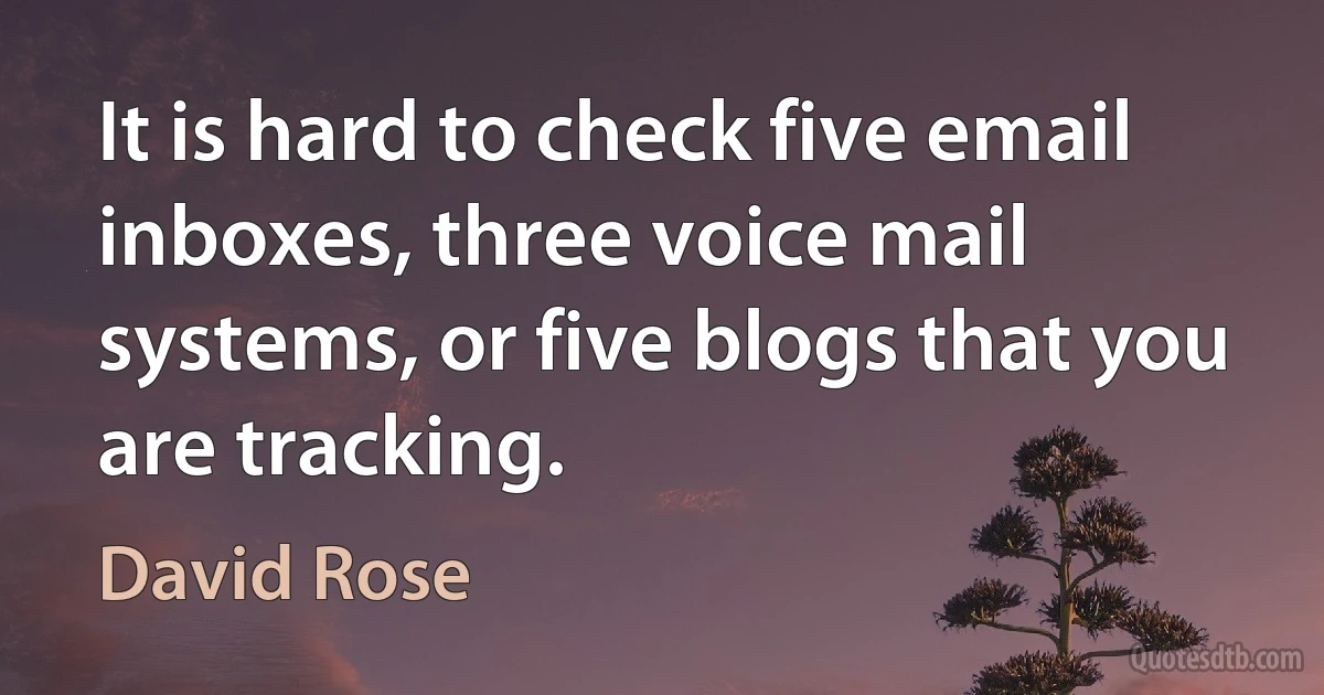 It is hard to check five email inboxes, three voice mail systems, or five blogs that you are tracking. (David Rose)