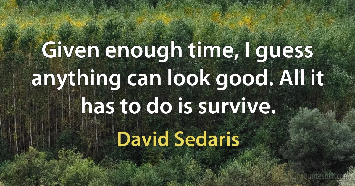 Given enough time, I guess anything can look good. All it has to do is survive. (David Sedaris)