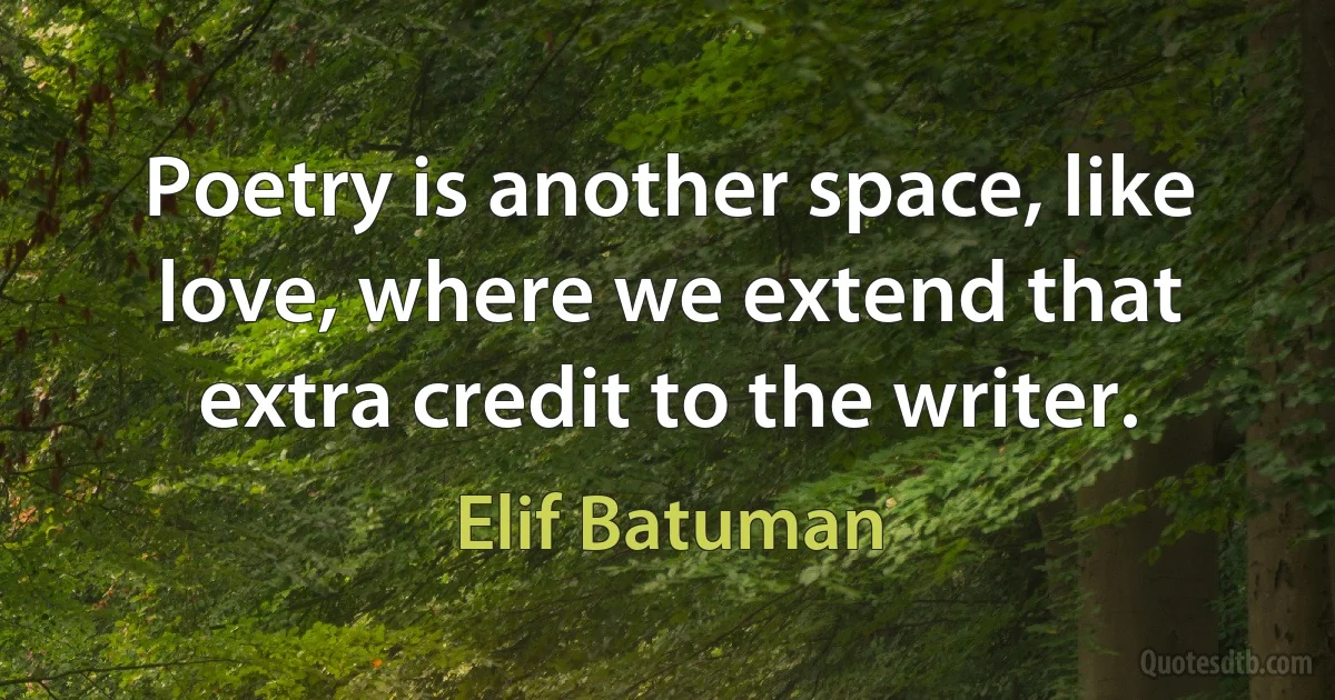 Poetry is another space, like love, where we extend that extra credit to the writer. (Elif Batuman)