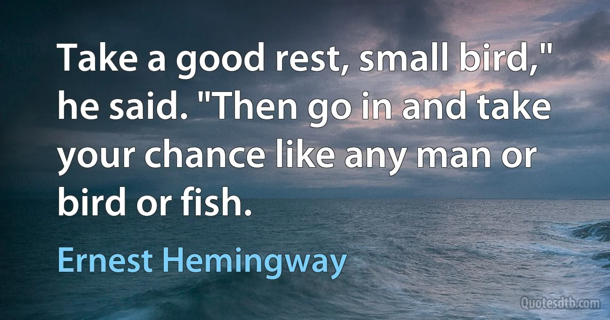 Take a good rest, small bird," he said. "Then go in and take your chance like any man or bird or fish. (Ernest Hemingway)