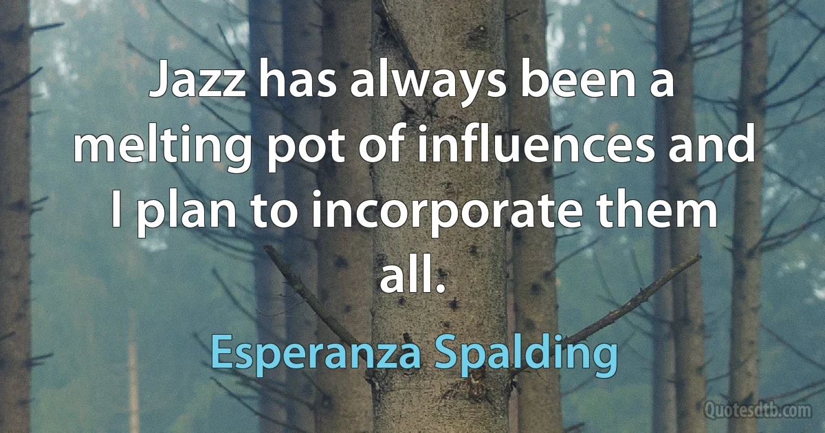 Jazz has always been a melting pot of influences and I plan to incorporate them all. (Esperanza Spalding)