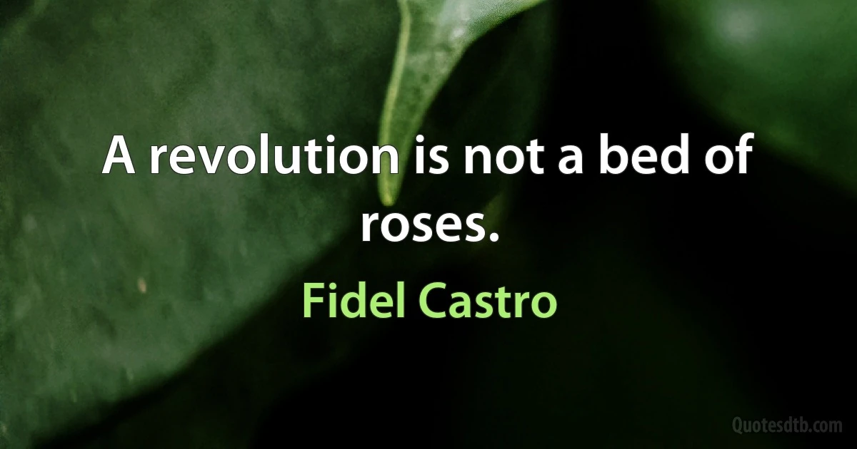 A revolution is not a bed of roses. (Fidel Castro)