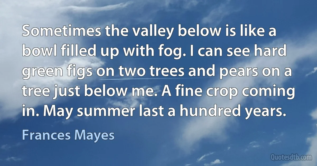 Sometimes the valley below is like a bowl filled up with fog. I can see hard green figs on two trees and pears on a tree just below me. A fine crop coming in. May summer last a hundred years. (Frances Mayes)