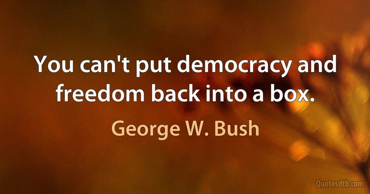 You can't put democracy and freedom back into a box. (George W. Bush)