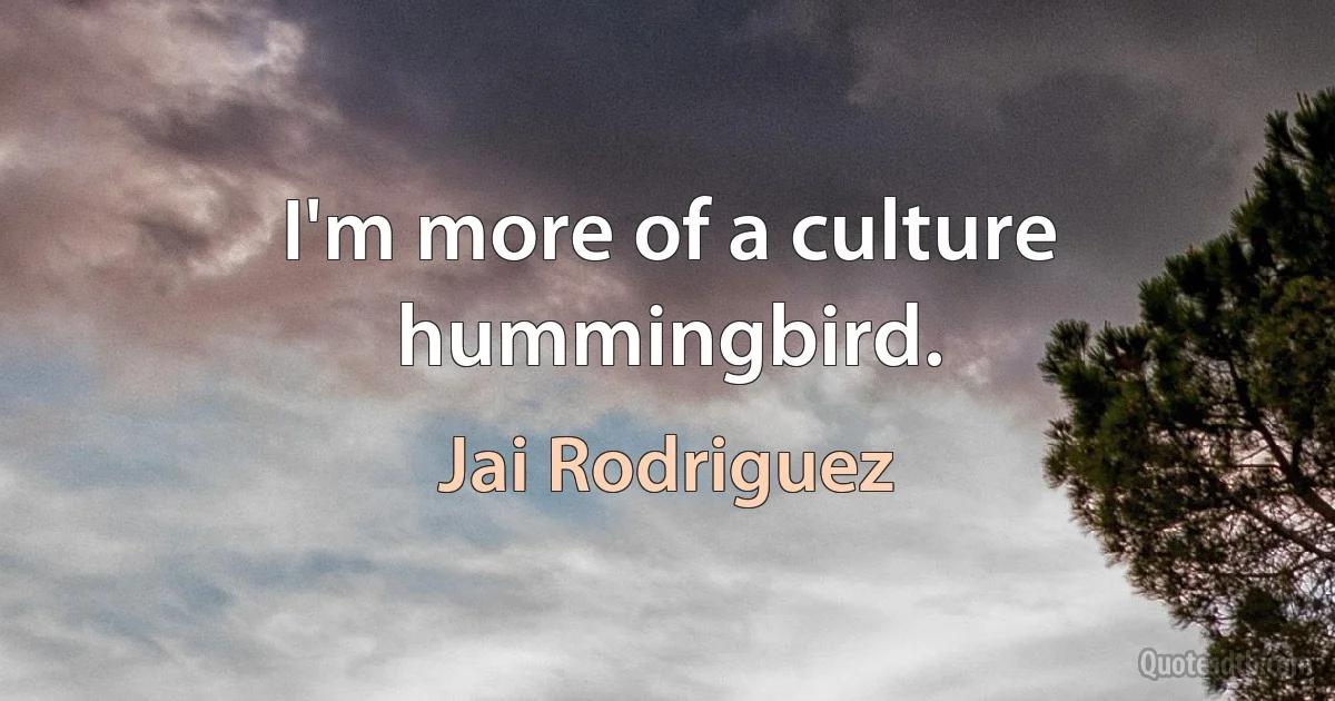 I'm more of a culture hummingbird. (Jai Rodriguez)