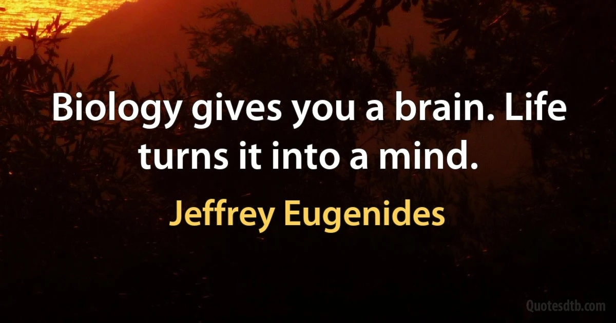 Biology gives you a brain. Life turns it into a mind. (Jeffrey Eugenides)