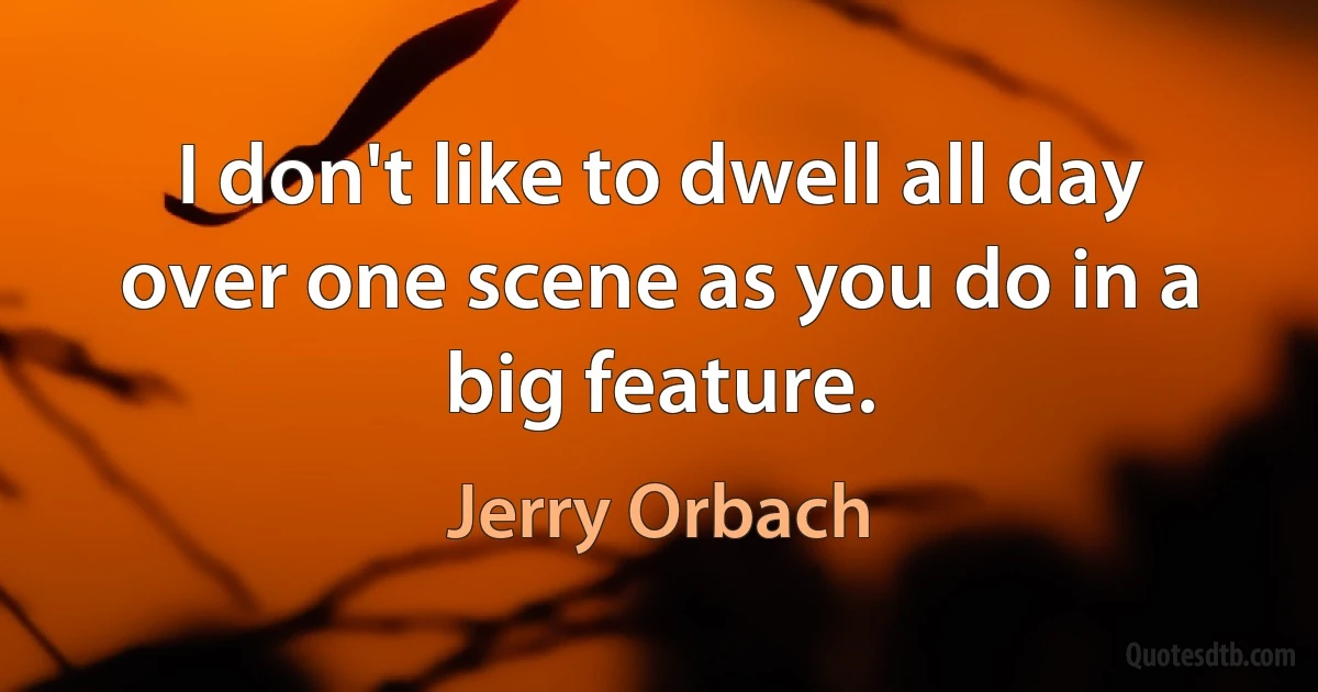 I don't like to dwell all day over one scene as you do in a big feature. (Jerry Orbach)