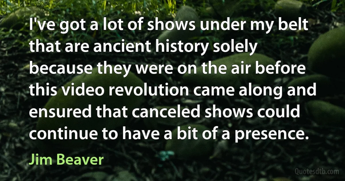 I've got a lot of shows under my belt that are ancient history solely because they were on the air before this video revolution came along and ensured that canceled shows could continue to have a bit of a presence. (Jim Beaver)