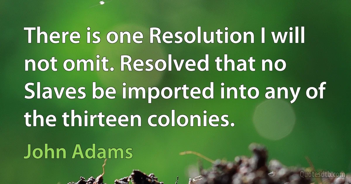 There is one Resolution I will not omit. Resolved that no Slaves be imported into any of the thirteen colonies. (John Adams)