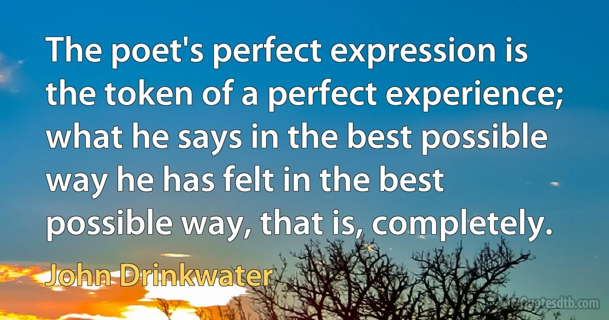 The poet's perfect expression is the token of a perfect experience; what he says in the best possible way he has felt in the best possible way, that is, completely. (John Drinkwater)