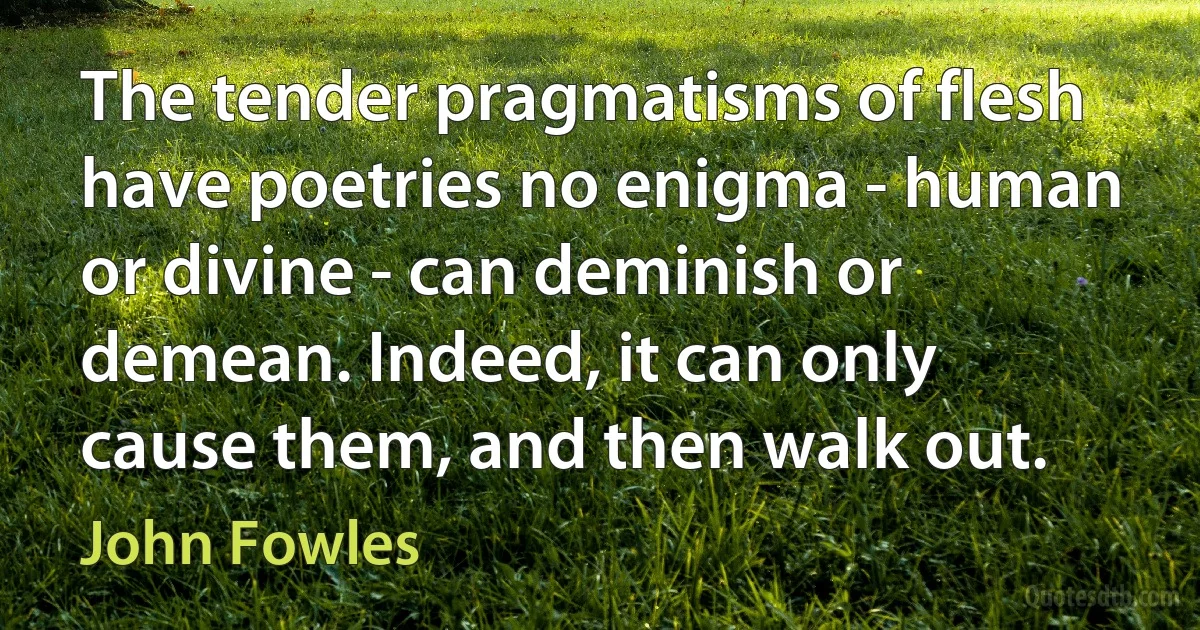 The tender pragmatisms of flesh have poetries no enigma - human or divine - can deminish or demean. Indeed, it can only cause them, and then walk out. (John Fowles)